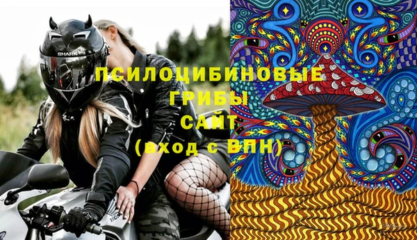 apvp Абаза