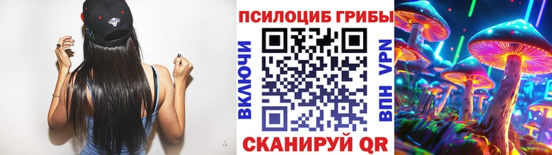 цена Лосино-Петровский Галлюциногенные грибы MAGIC MUSHROOMS